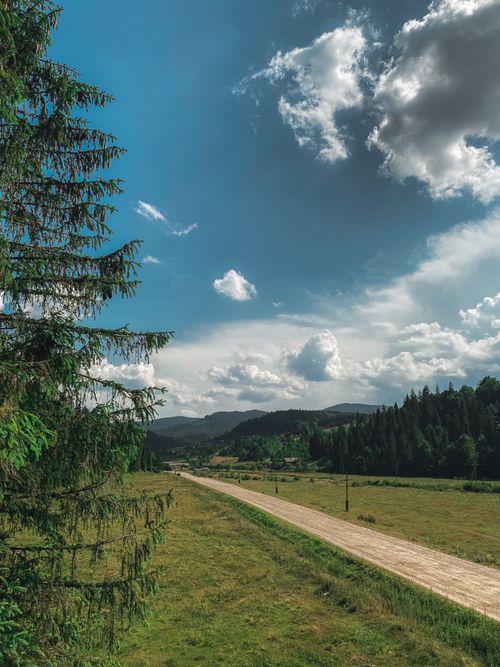 Free Sunlit dirt road winding through lush green hills with trees and clouds against a bright blue sky. Stock Photo