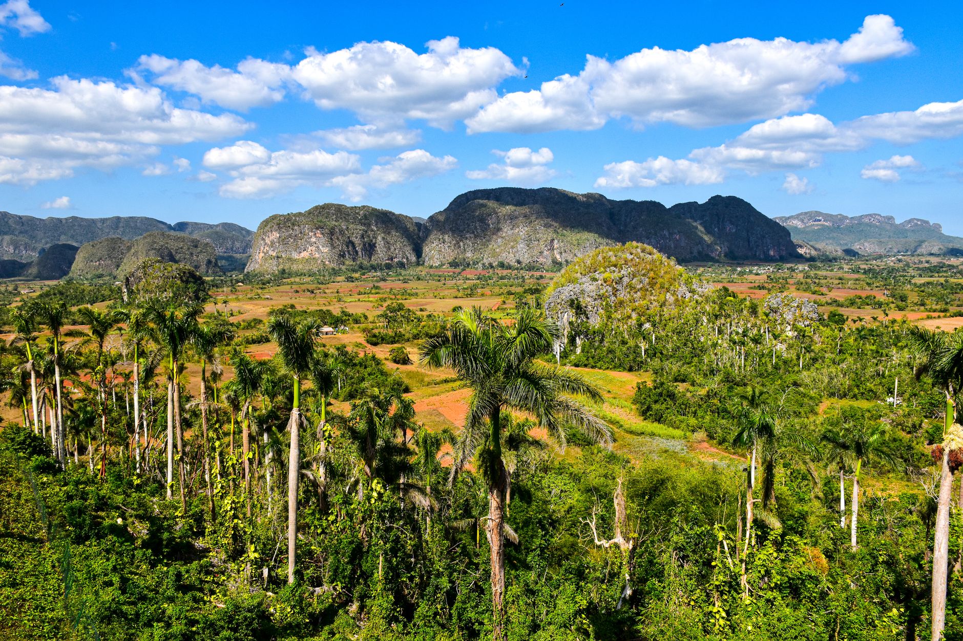 A picturesque view of Vinales Valley in Cuba with lush greenery and striking mountains.