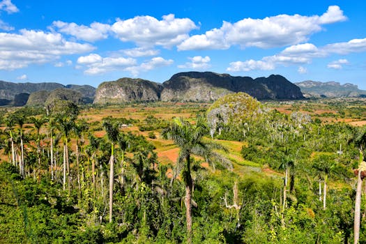 Vinales, Cuba photo 3