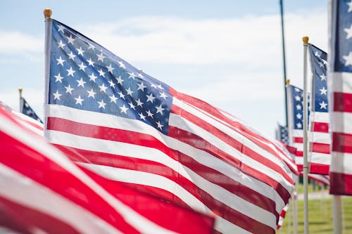 Immagine gratuita di america, bandiera americana, Bandiere americane