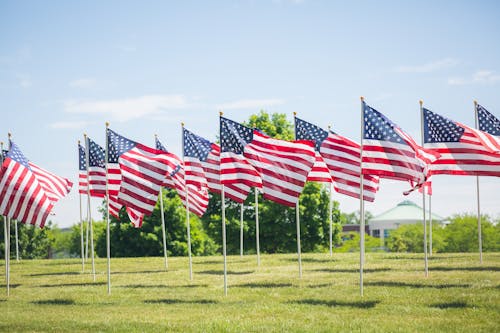 Immagine gratuita di Bandiere americane, erba, illuminata dal sole