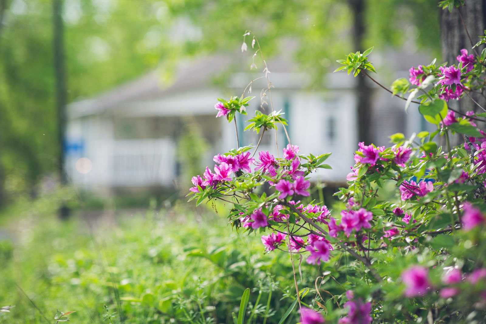8 Tips to Charm Buyers in Summer