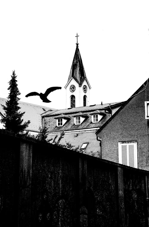 Darmowe zdjęcie z galerii z budynki, czarno-biały, kościół
