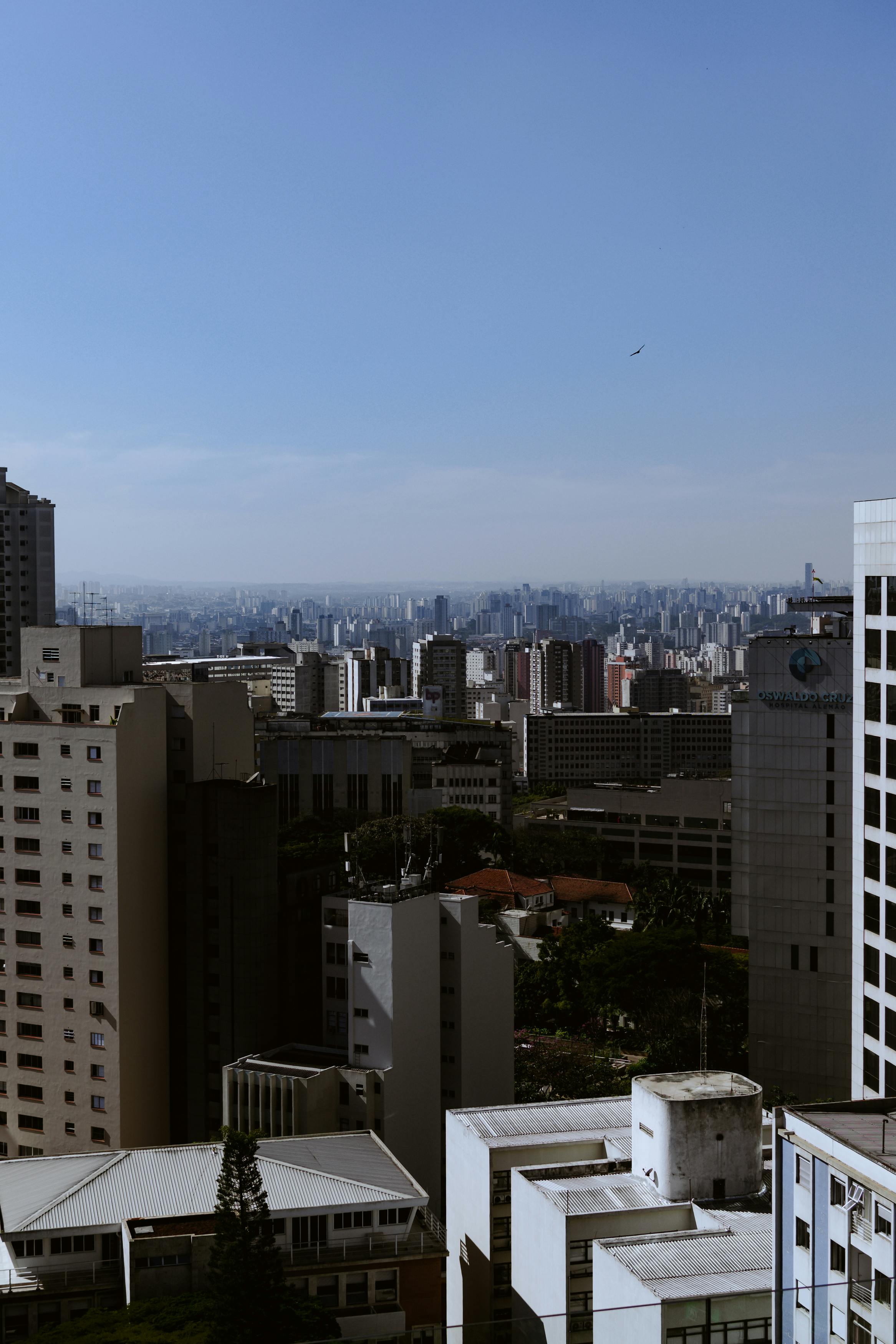 Cityscape of Sao Paulo in Brazil · Free Stock Photo