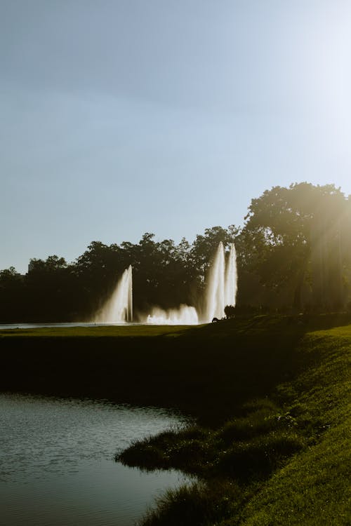 Fountain on Lake in Park