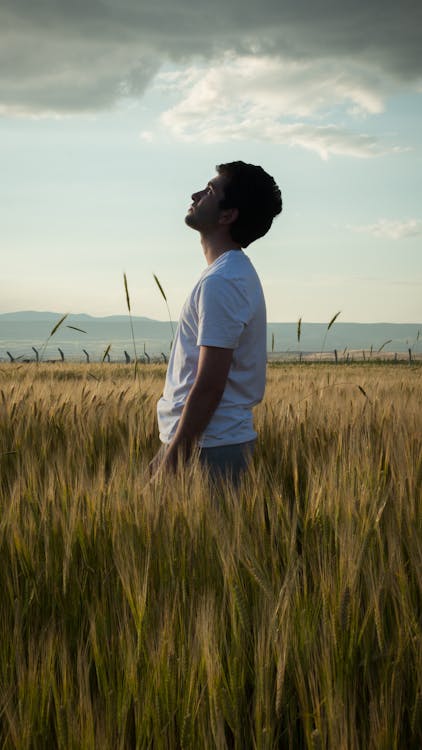 A man standing in a field looking up at the sky · Free Stock Photo
