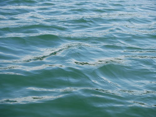 Waves in Sea