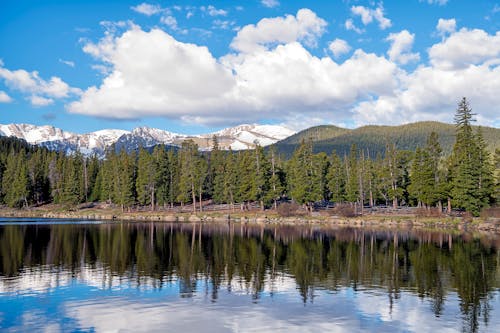 Lake and Forest in Mountains