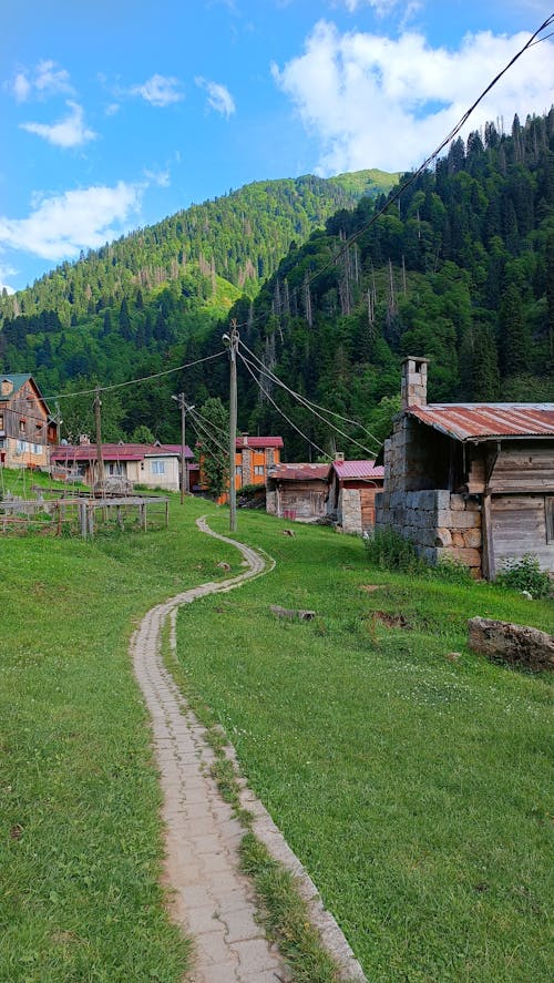 Mountain Village in Summer