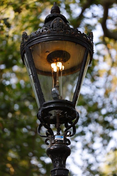 Vintage Park Lamp