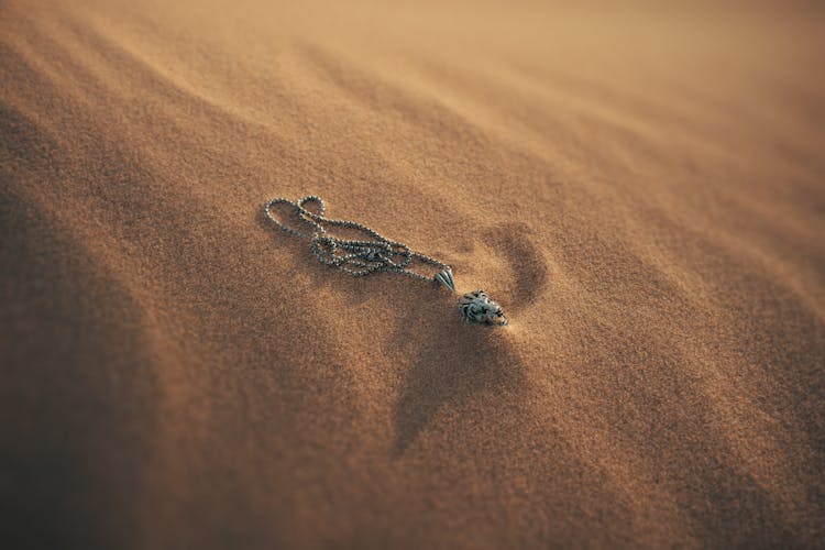 Silver Lion Necklace In Desert Sand