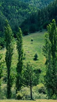Image by Yusuf  Kaya
