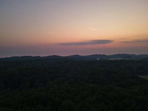 Photos gratuites de arbres, brume du crépuscule, champs