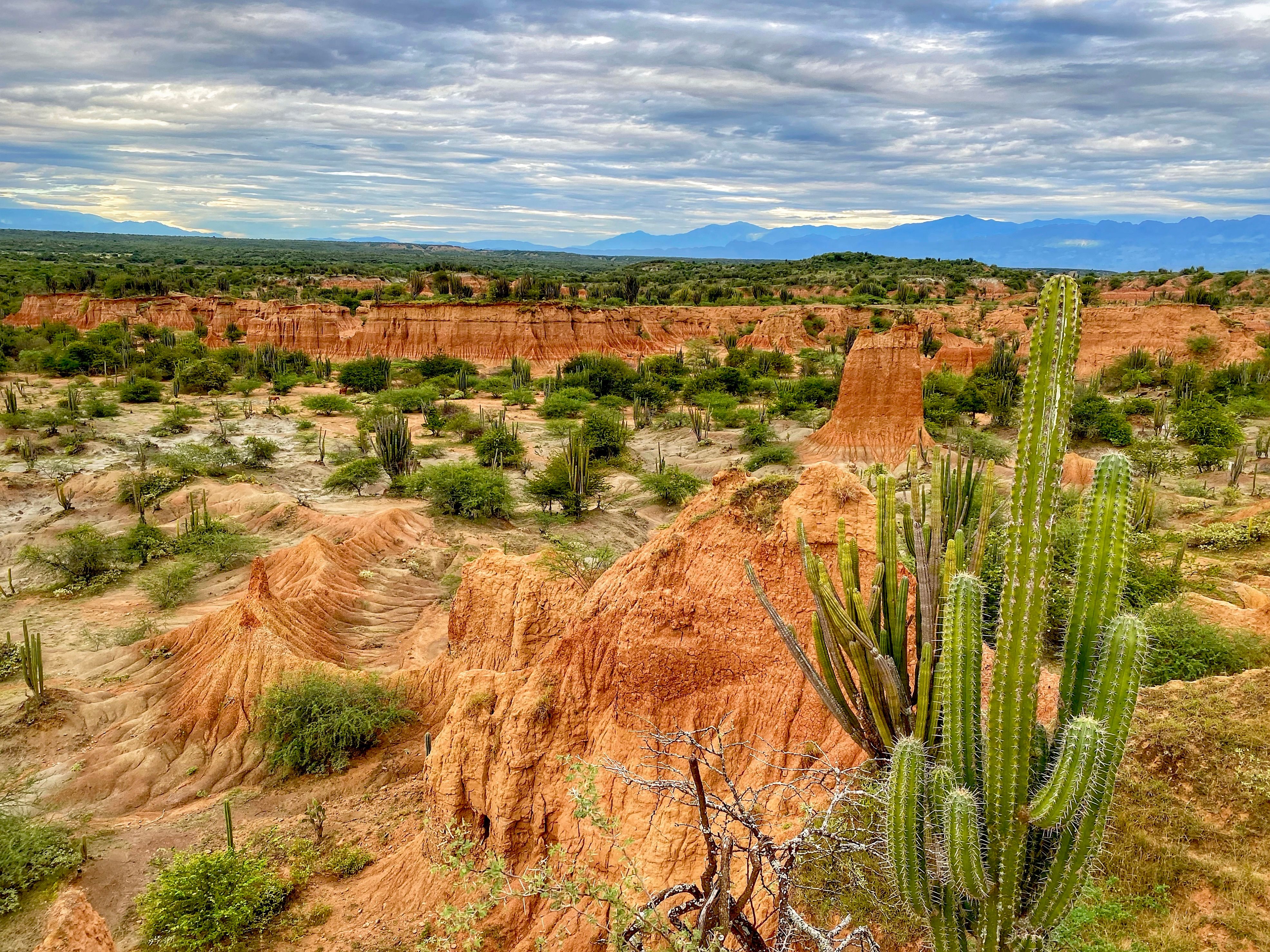 Desierto de la Tatacoa