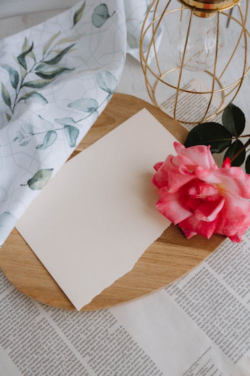 Pink Rose near Paper Sheet