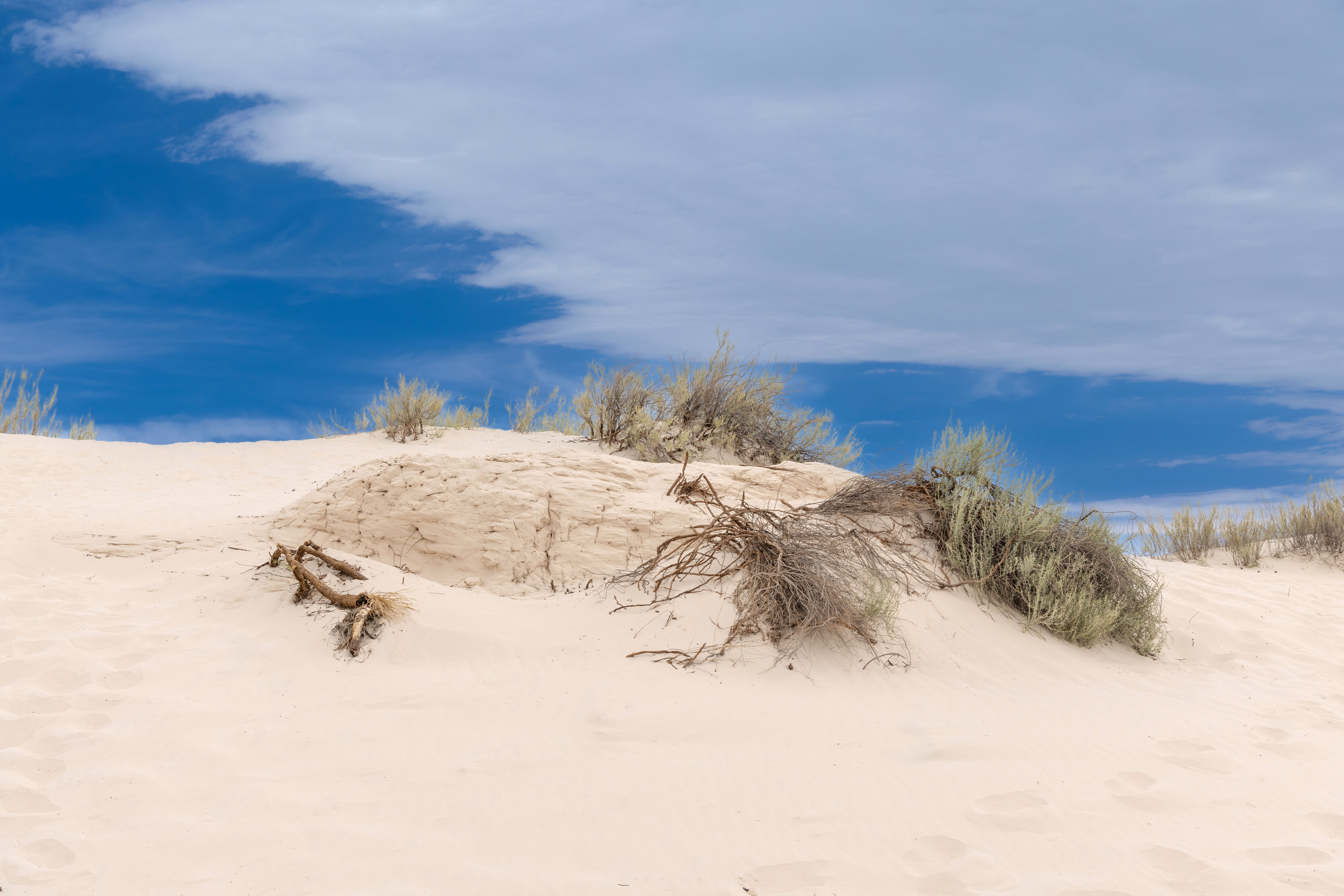 Top Albuquerque, NM Family Giveaways With No Purchase Necessary: Safe Entry Guide
