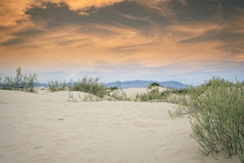 Foto profissional grátis de amarelo, areia, dunas