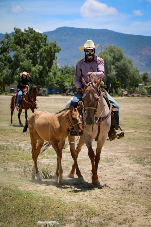 People Horseback Riding on a Field 