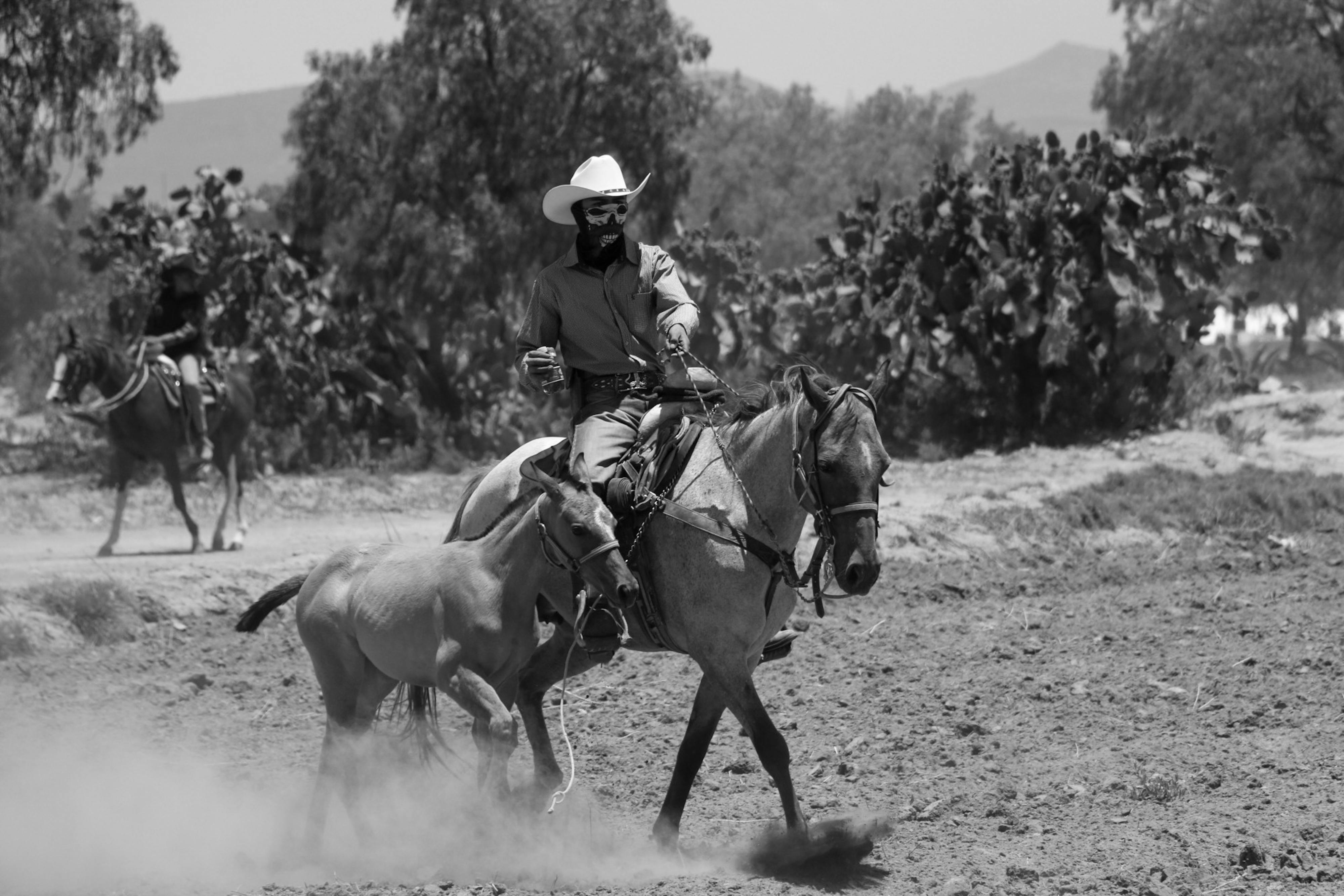 Man in a Costume Horseback Riding · Free Stock Photo