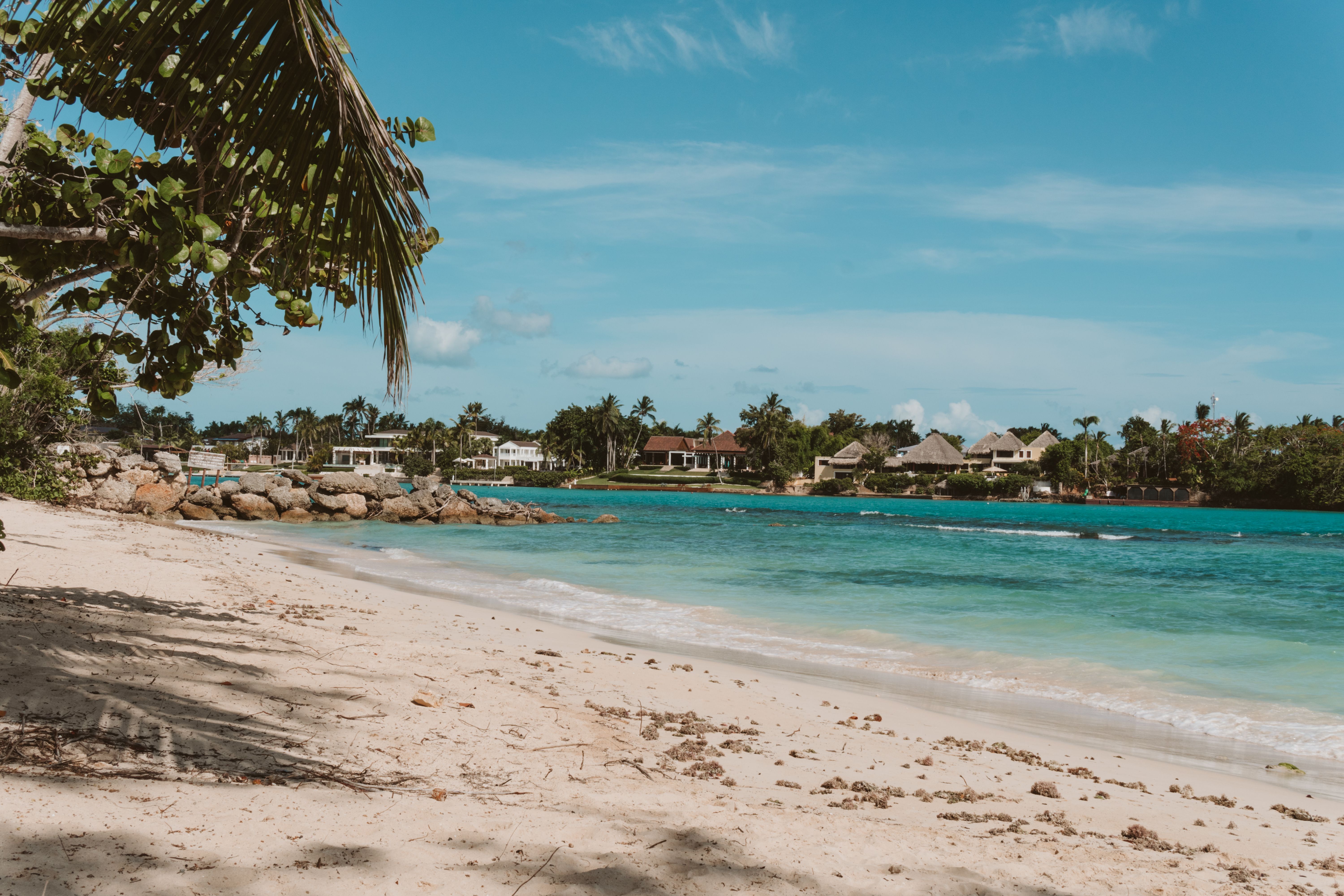 Scenic view of a tranquil tropical beach with palm trees and clear turquoise water under a sunny sky.