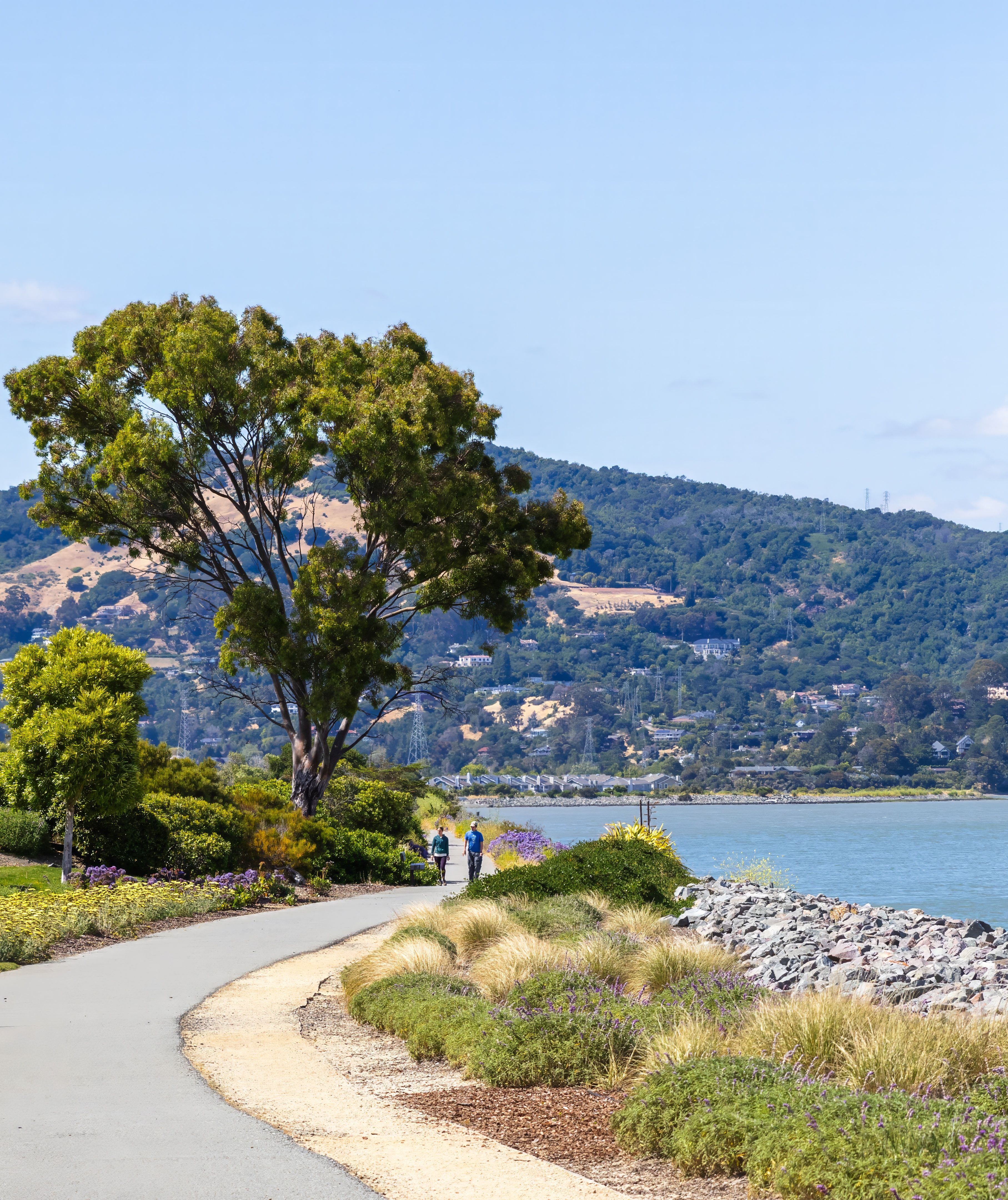 View of a Walkway along the Coast · Free Stock Photo