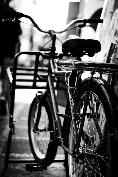 Základová fotografie zdarma na téma černobílý, jízdní kolo, kola