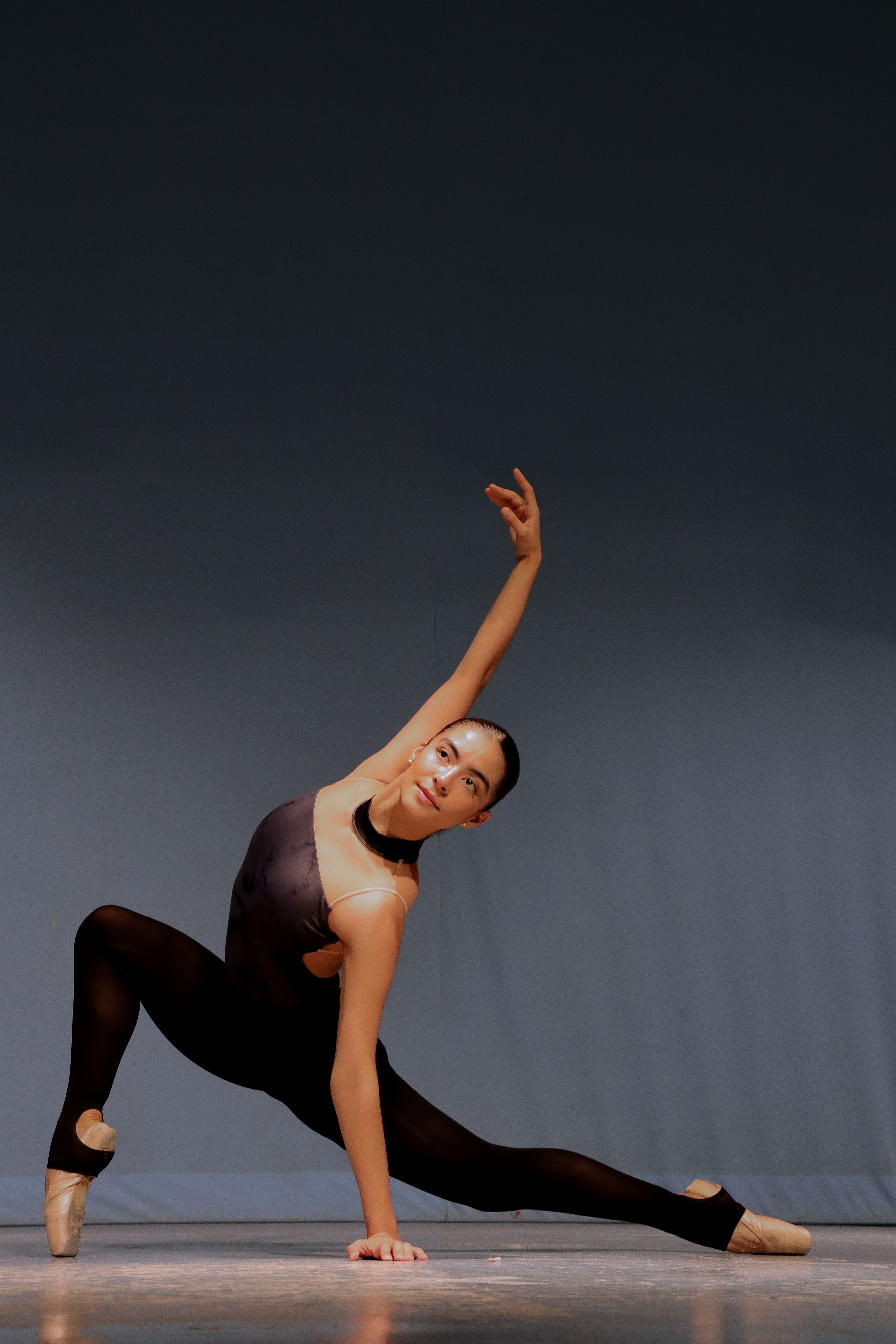 Ballerina Dancing with Arms Raised · Free Stock Photo