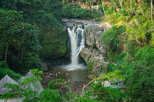 People in River Near Waterfall in Rainforest