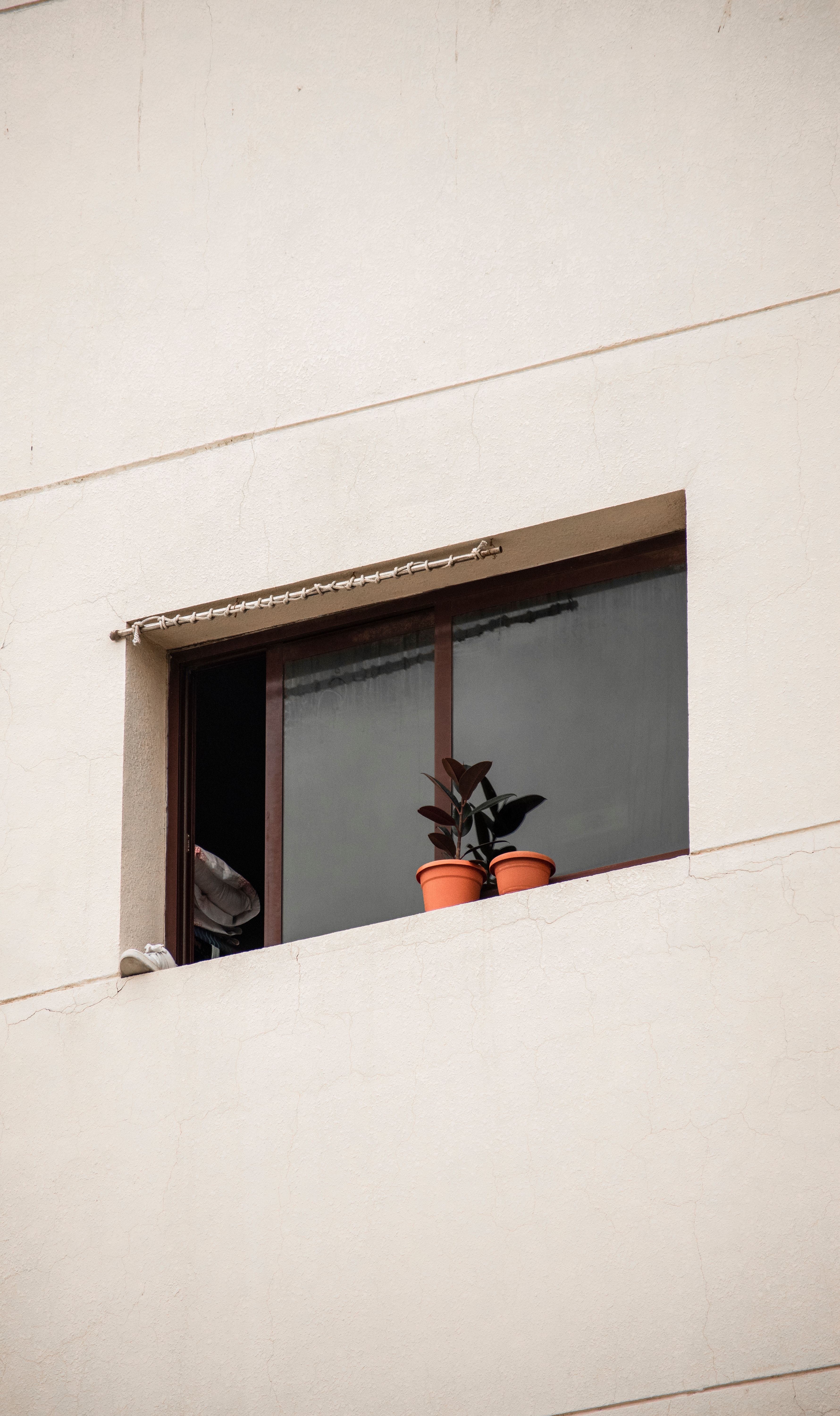 Growing Greens In Apartment Windows preview