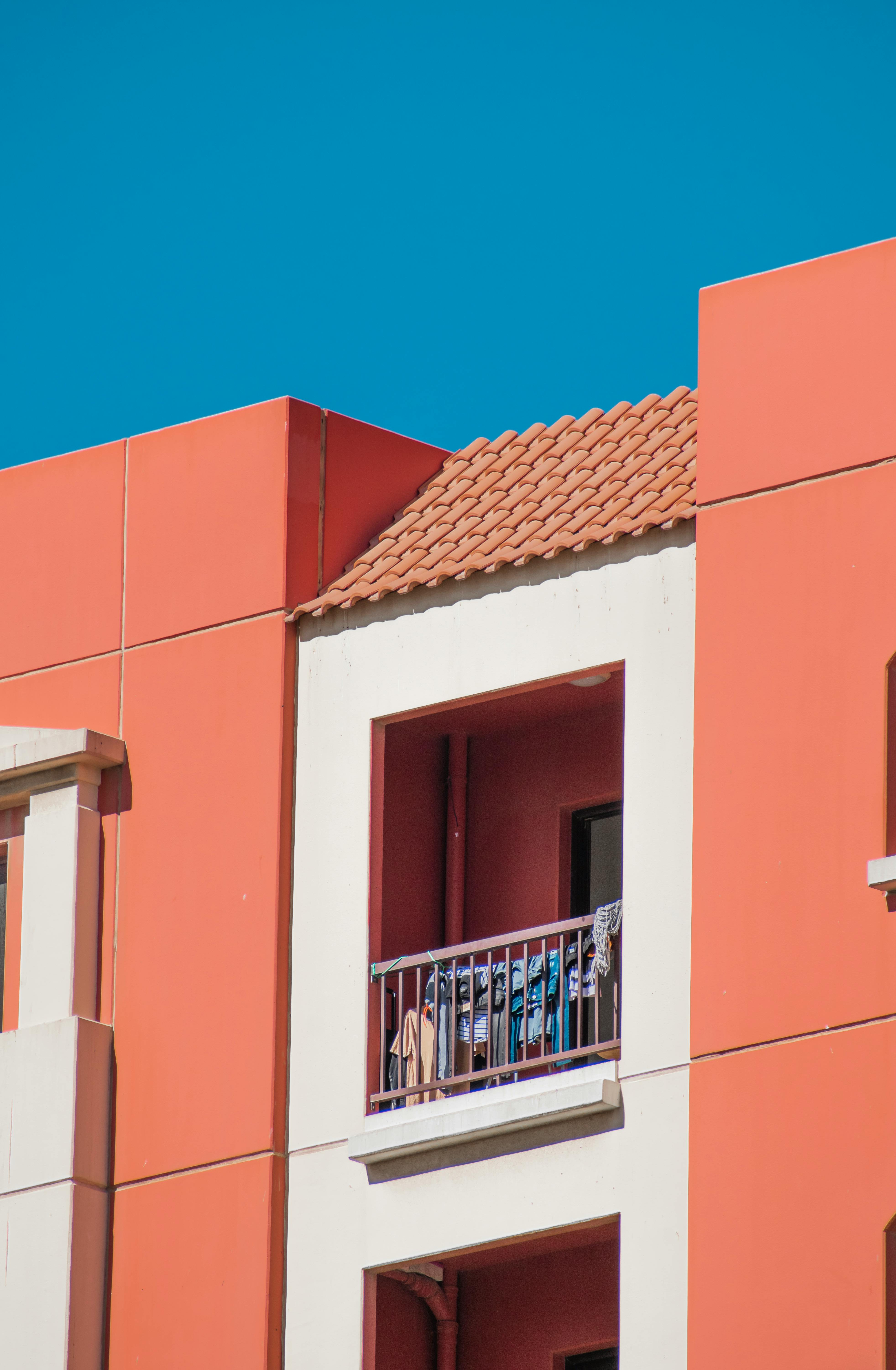 List Of Programmes Broadcast By Cartoonito Uae Ireland Photos, Download