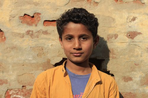 Free Portrait of a young boy with curly hair against a sunlit brick wall, showcasing natural lighting. Stock Photo