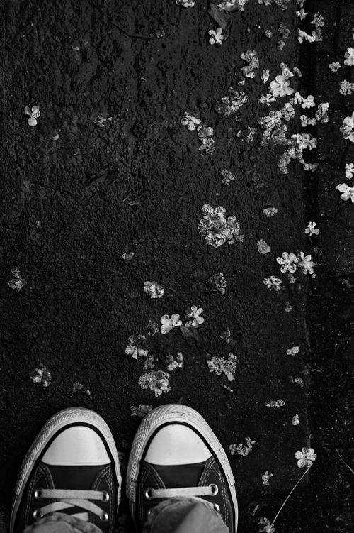Free High-angle monochrome shot of sneakers on a petal-covered ground. Stock Photo