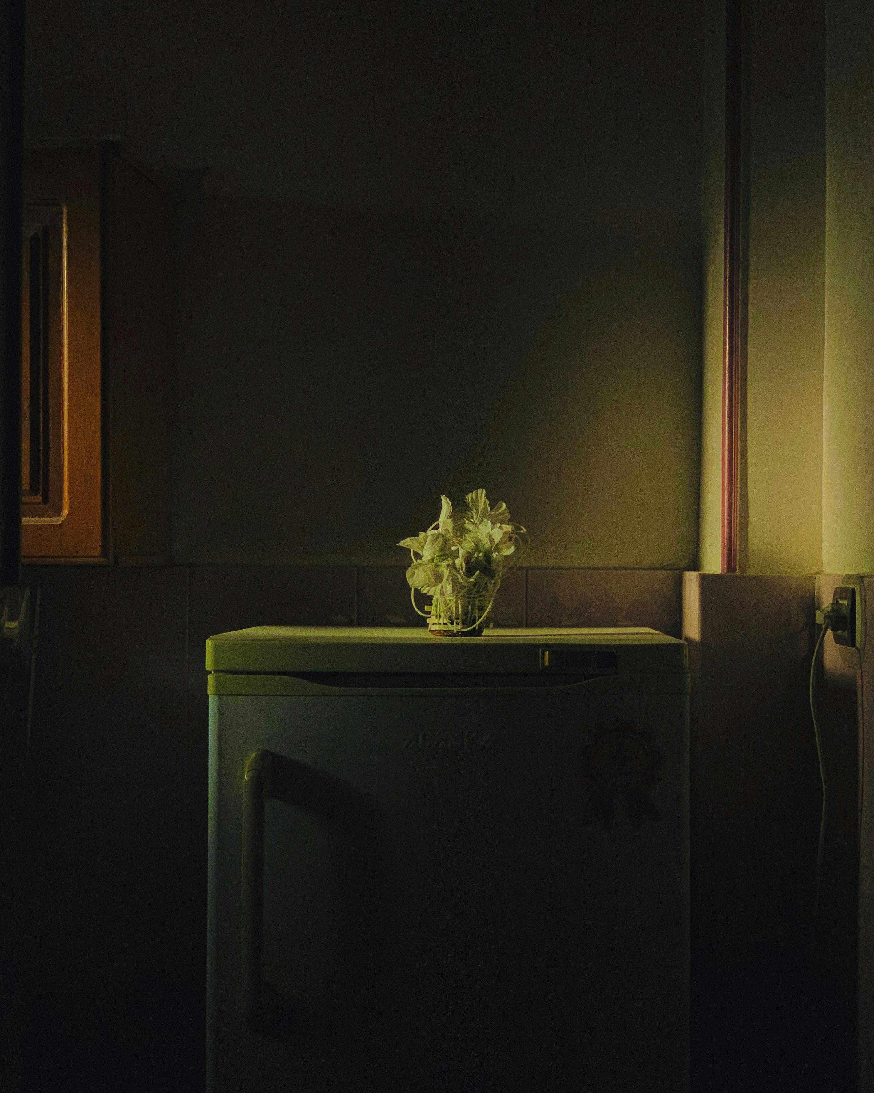 Free A dimly lit kitchen with a fridge, plant, and ambient light creating a moody atmosphere. Stock Photo