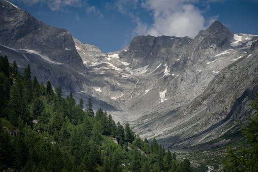 Scenic mountain landscape with lush forest and rocky peaks under a clear sky.