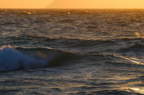 Free Captivating ocean waves at sunset with golden hues in a serene seascape setting. Stock Photo