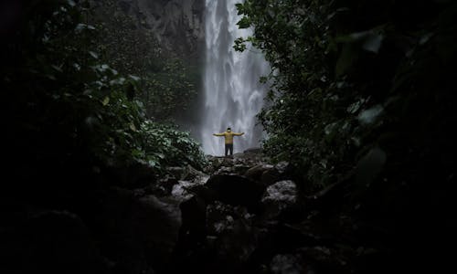 Hiker in Yellow Jacket Standing in Front of Large Waterfall in Forest