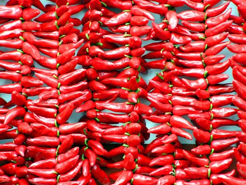 gratis Rode Chilipepers Stockfoto