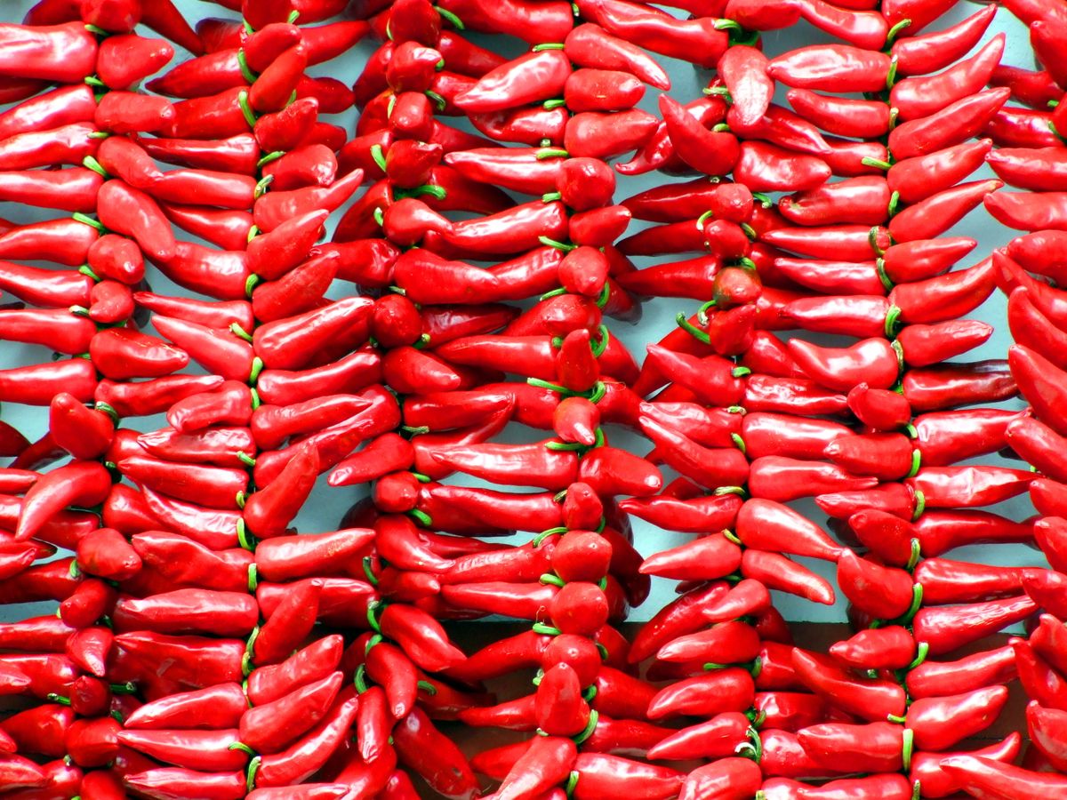 Strings of red Espelette peppers drying on a wall