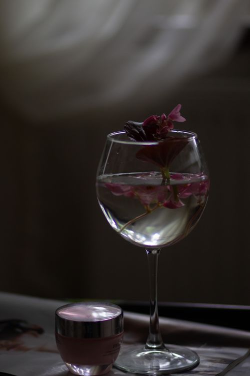 Free Aesthetic still life of pink flower petals in a wine glass, perfect for minimalist decor. Stock Photo