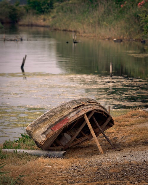 Fotos de stock gratuitas de a orillas del lago, abandonado, bote de remos