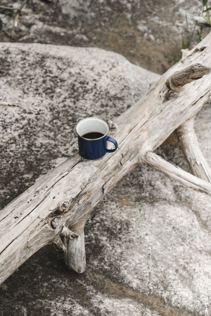 A blue mug of coffee rests on a weathered log outdoors, surrounded by rocks.