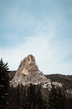 冬季森林环绕着白雪皑皑的山峰，映衬在蔚蓝的天空下