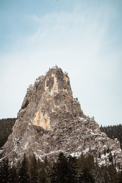 Rock Mountain Surrounded by Pine Trees