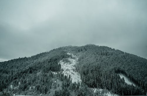 Fotografia In Scala Di Grigi Della Montagna Sotto Il Cielo Nuvoloso