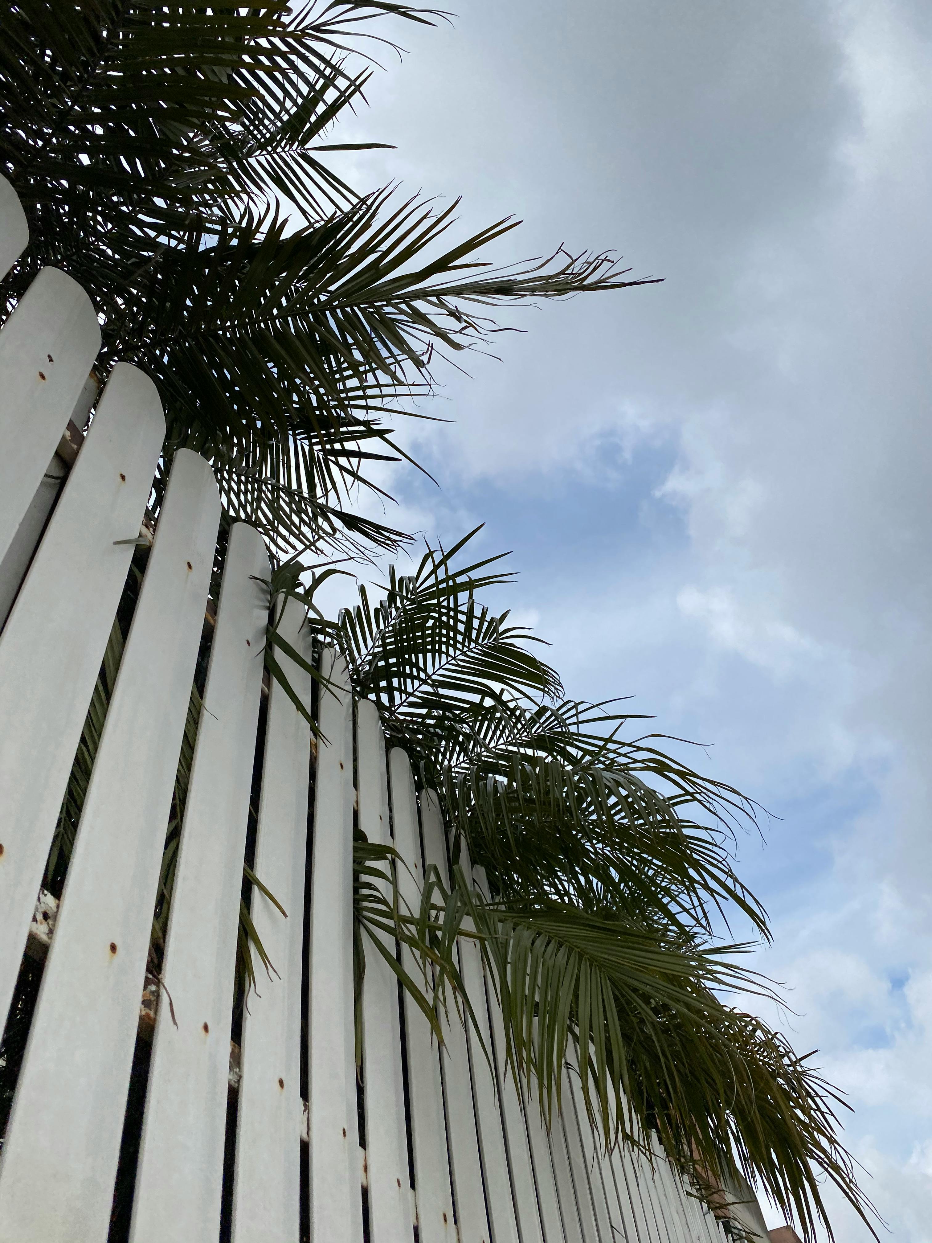 wooden fence with black metal posts