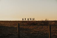 People Standing on Grassland at Sunset