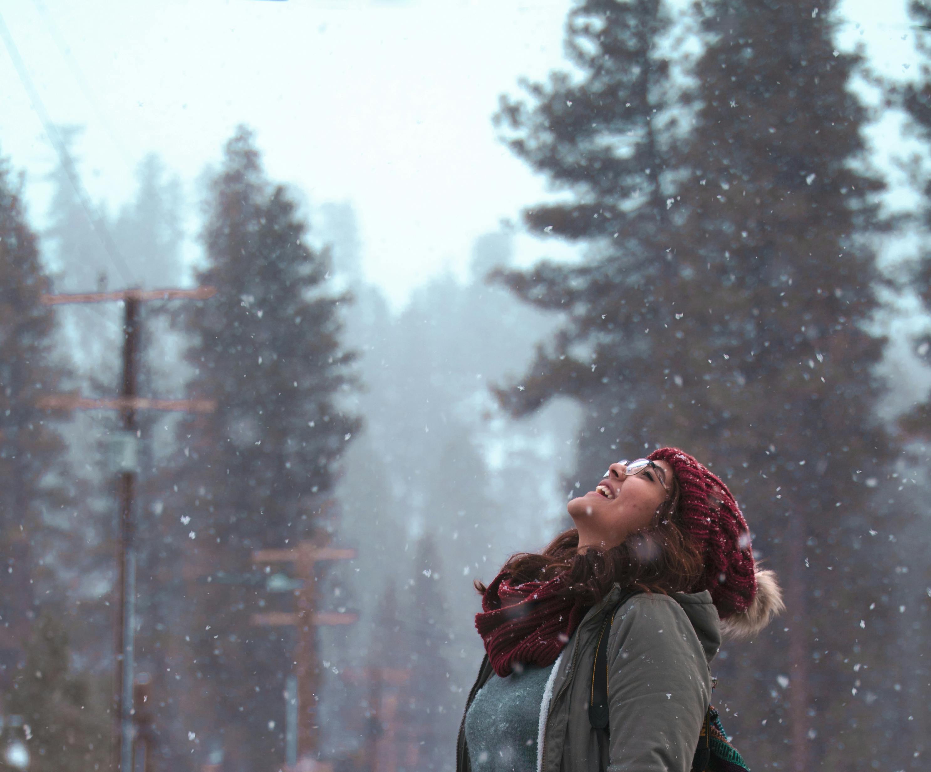 Snowfall Photos, Download The BEST Free Snowfall Stock Photos & HD