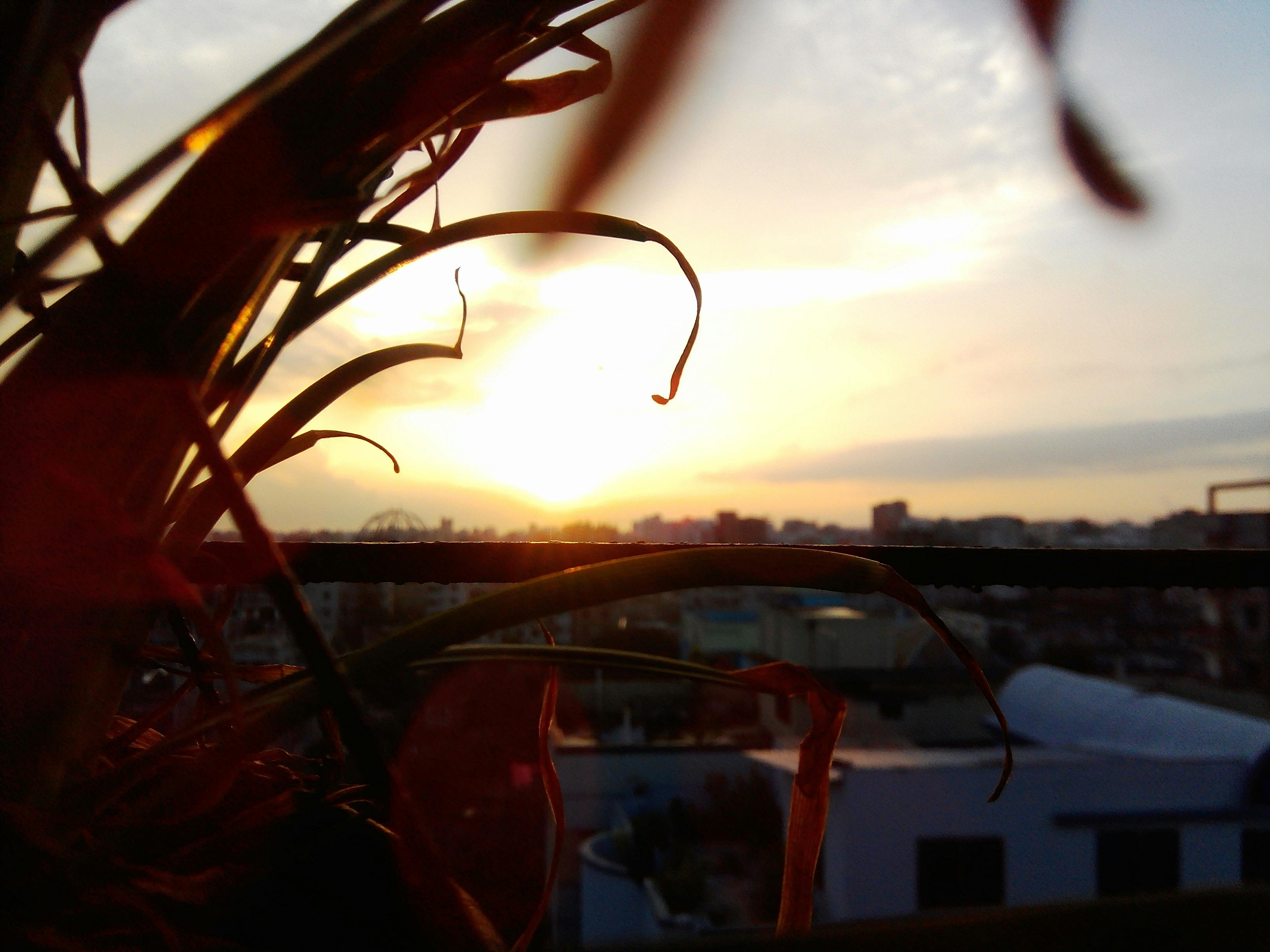 Free stock photo of beautiful, city life, morning sun