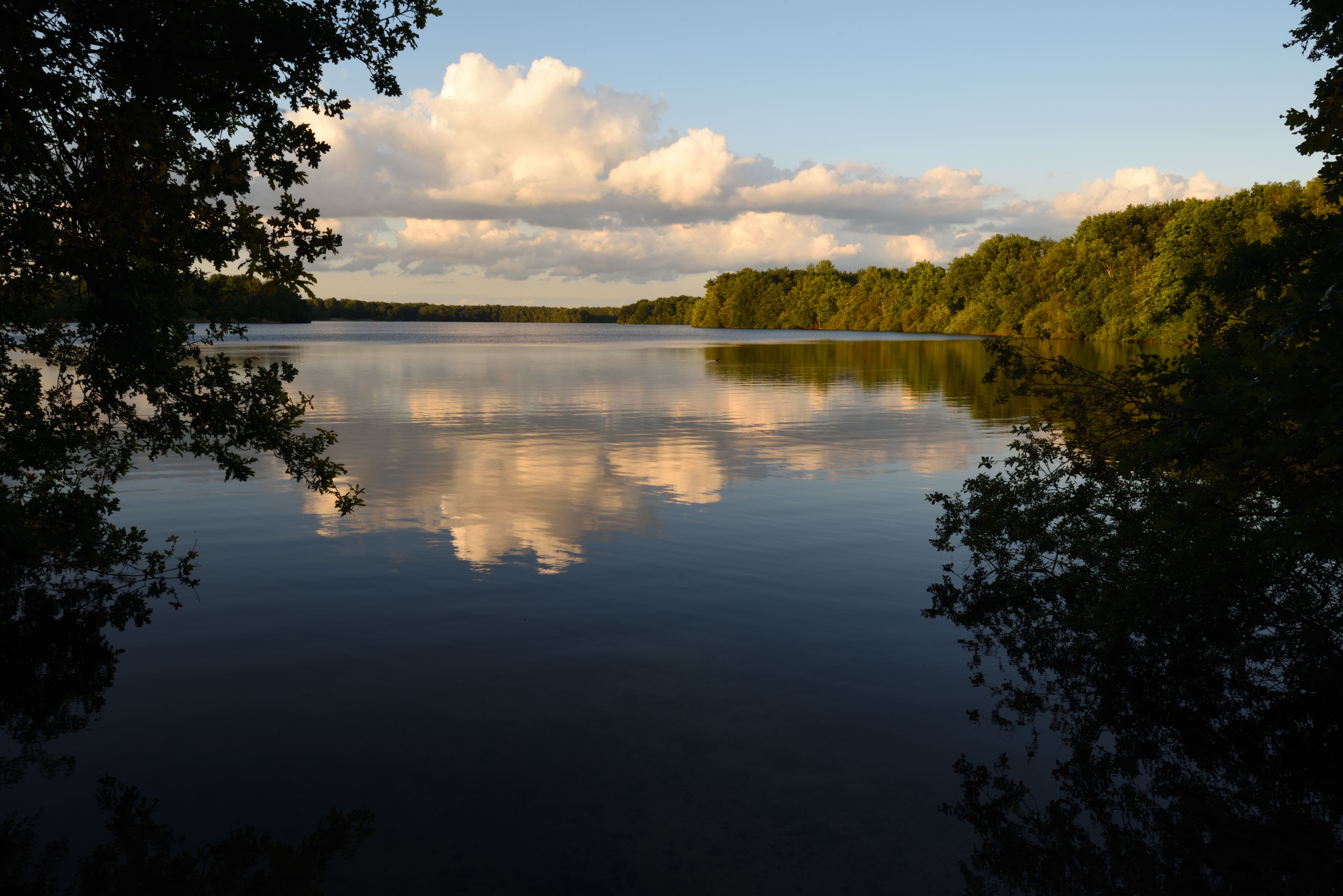 Serene evening lake view in Isernhagen with trees and clouds reflecting in the water.