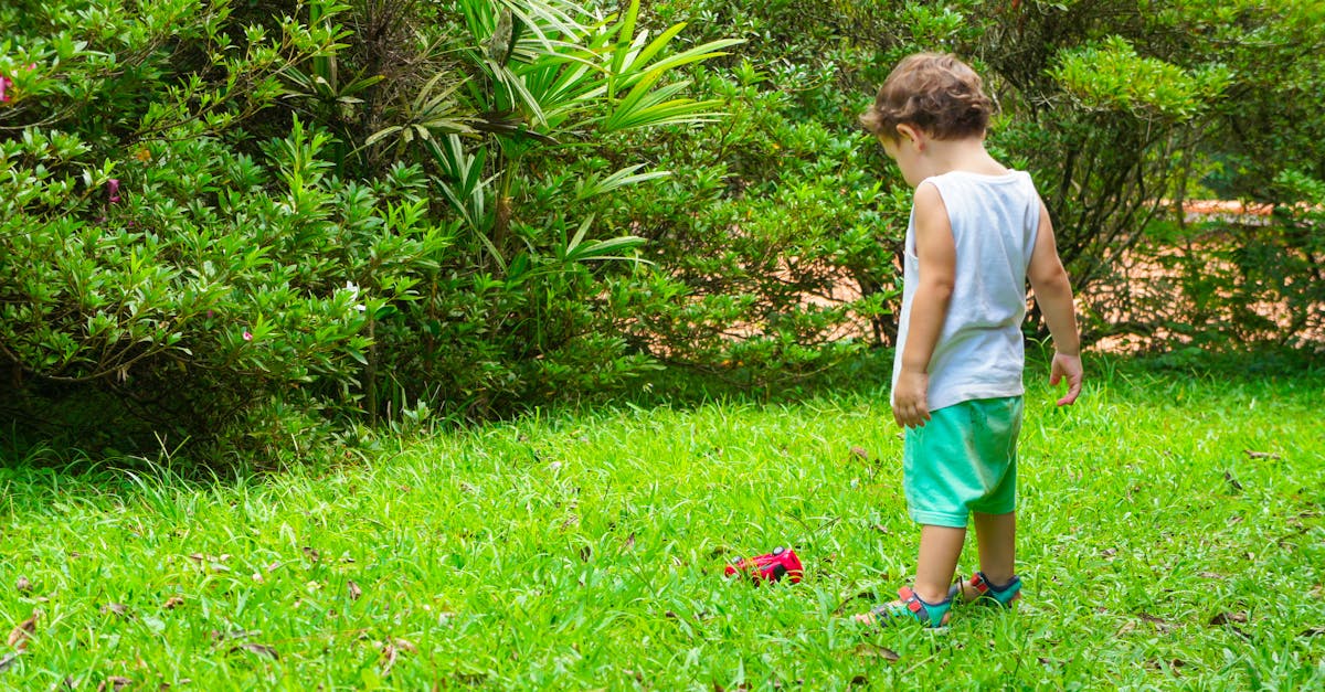 Free stock photo of american, baby, boy